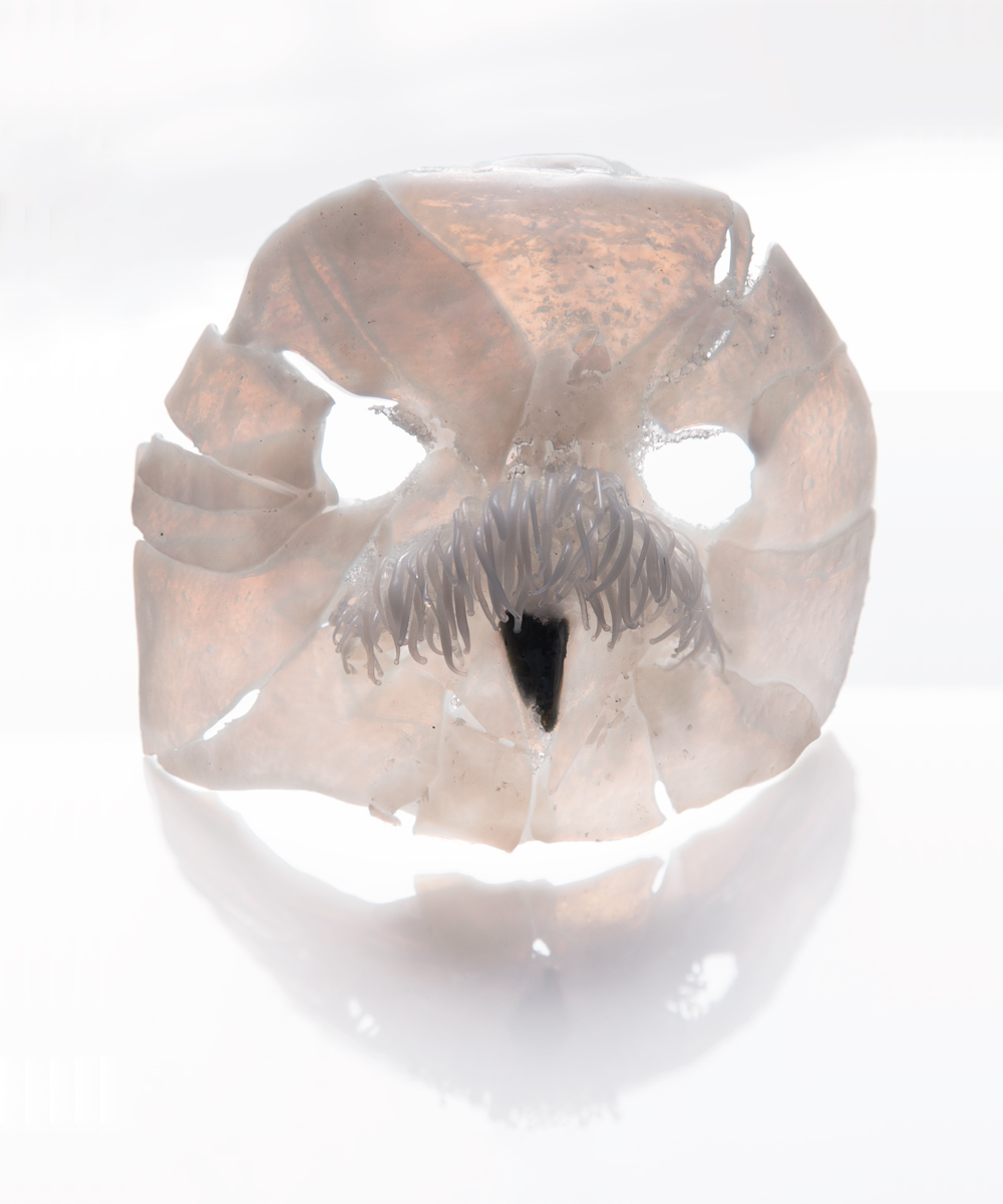 white_mask
